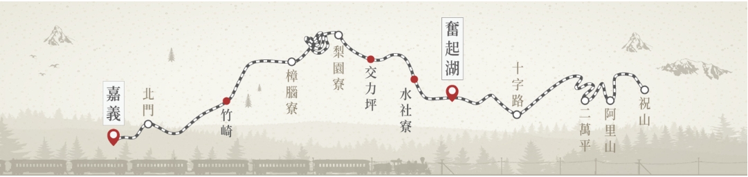 【百萬夕陽】高海拔 週五出發 阿里山→二萬坪→阿里山(來回)的圖片