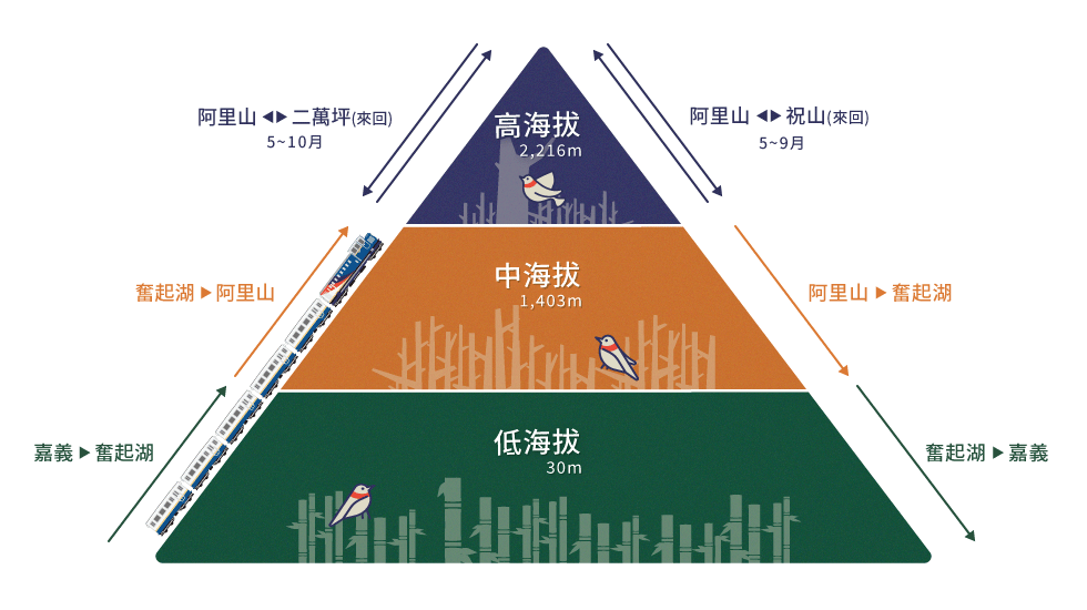 【百萬夕陽】高海拔 週五出發 阿里山→二萬坪→阿里山(來回)的圖片
