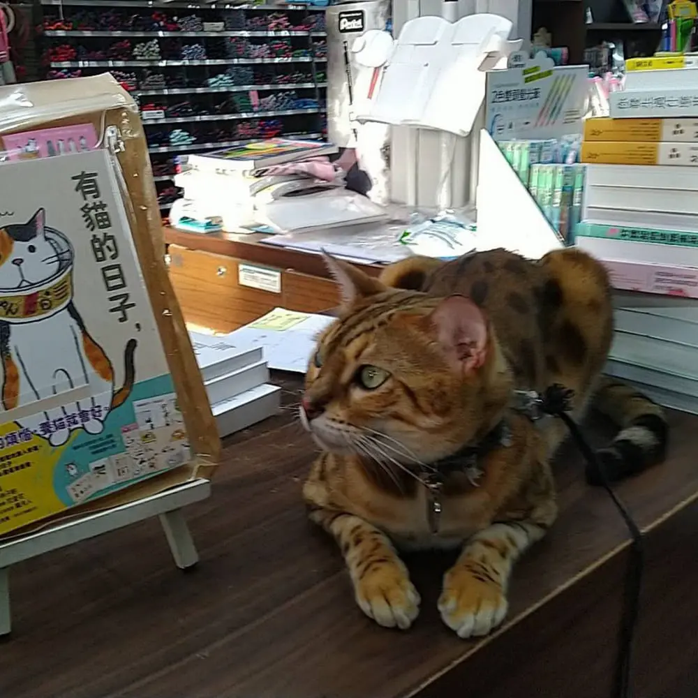 參次方國際圖書有限公司